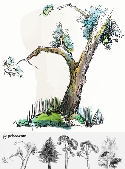 精美松树PHOTOSHOP笔刷！