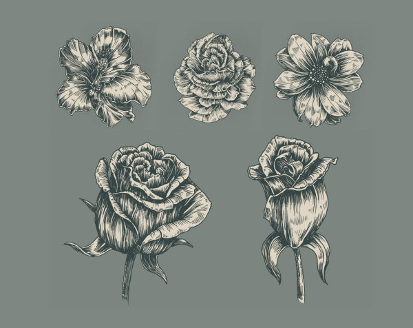 漂亮的收回花朵矢量素材