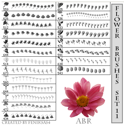 漂亮花朵PS笔刷集 （1）