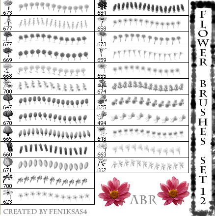 漂亮花朵PS笔刷集 （2） 
