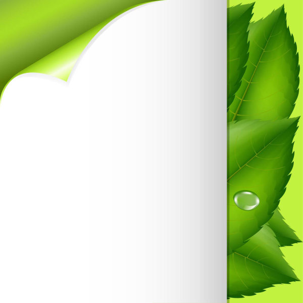 卷角与绿叶01&mdash;&mdash;矢量素材