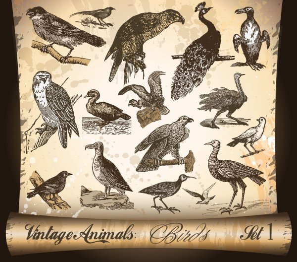 古典手绘动物&mdash;&mdash;矢量素材