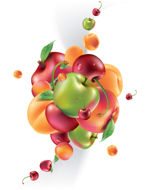 Tasty fruit 02 - vector material