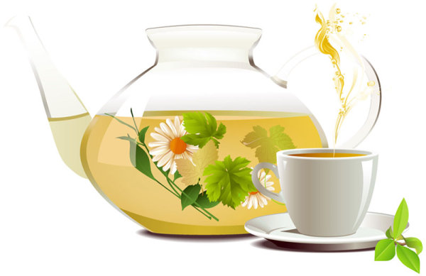 Chrysanthemum Tea Tea 01 - vector material