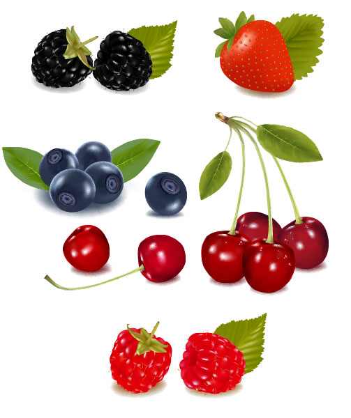 Fruit Picture 03 - vector material