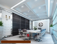 3D model of the modern conference rooms