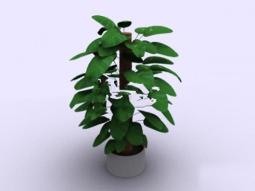 Home bonsai 3d models