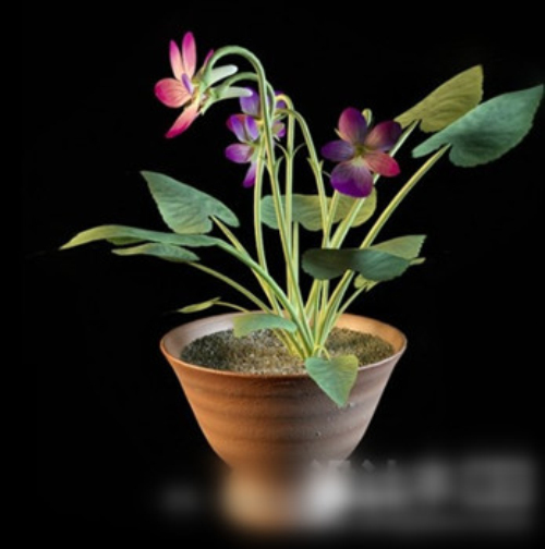 Indoor bonsai 3d model