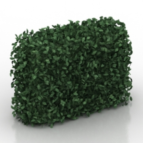 green wall model