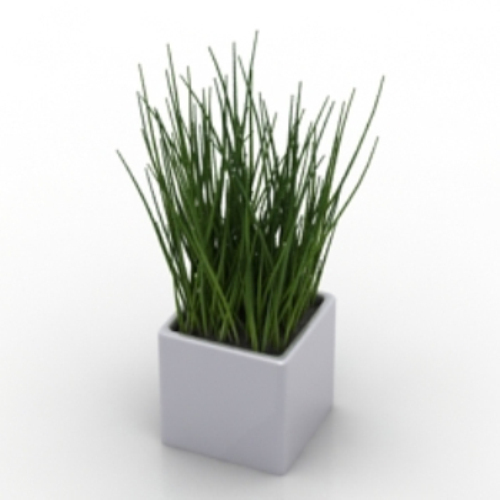 grass potted model plant model