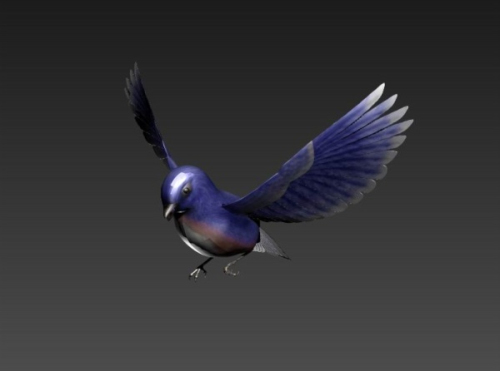 Purple bird 3D model