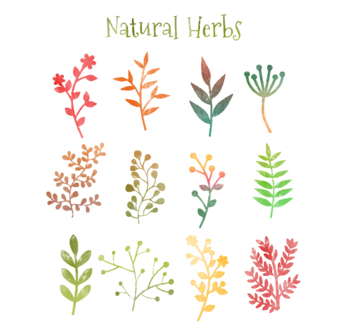 12 watercolor branch vector material