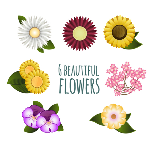 7 of beautiful flowers vector material