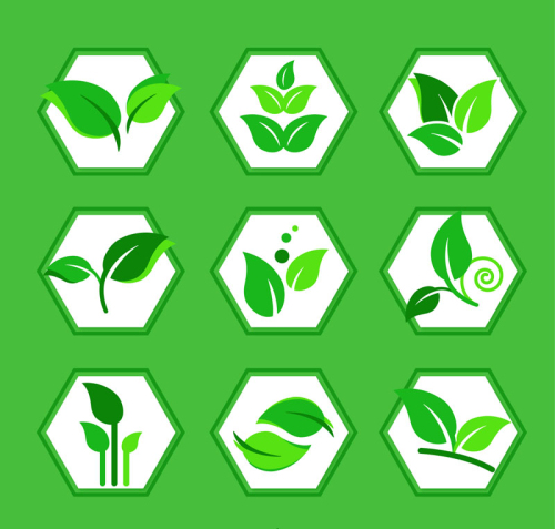 9 Creative green leaf icon vector material
