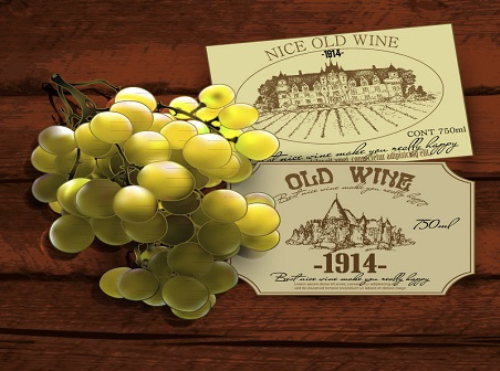 Green grapes and Wine trademark vector